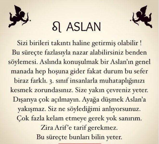 aslan burcu erkegi