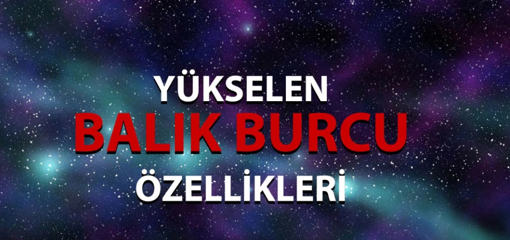 Yukselen balik erkegi fiziksel ozellikleri 1