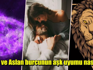 aslanla yengec burcu uyumu 1