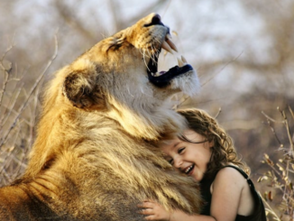 Aslan burcunun ruh esi