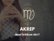 akrep burcu 1