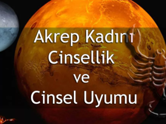 Akrep burcu cinsellik uyumu 2